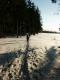 N�hodn� fotka z albumu